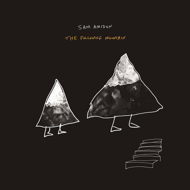 Album cover art for The Following Mountain