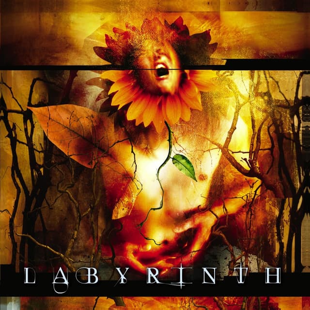Album cover art for Labyrinth