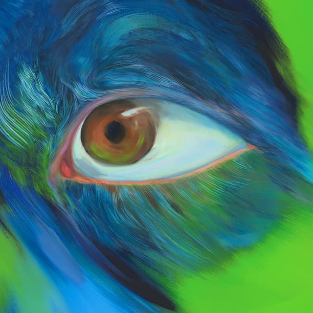 Album cover art for NYX