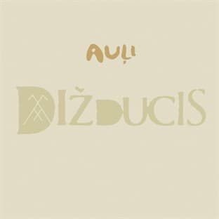 Album cover art for Dizducis