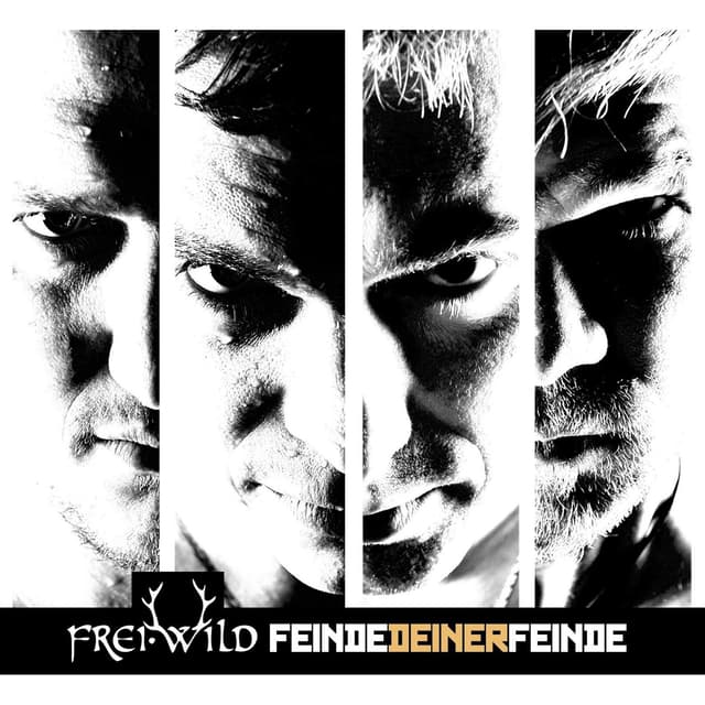 Album cover art for Feinde Deiner Feinde