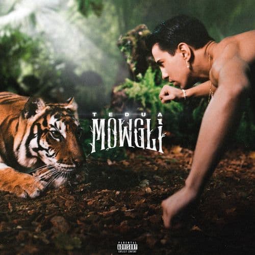 Album cover art for Mowgli - Il Disco della giungla