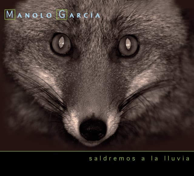 Album cover art for Saldremos a la Lluvia
