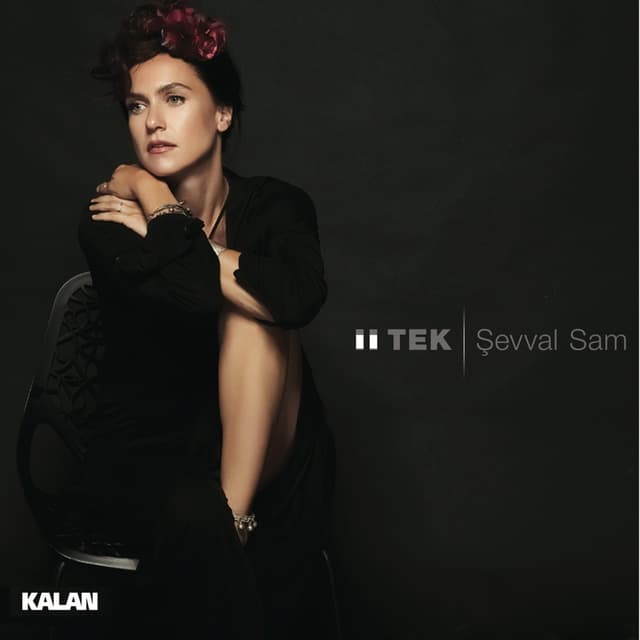 Album cover art for II Tek