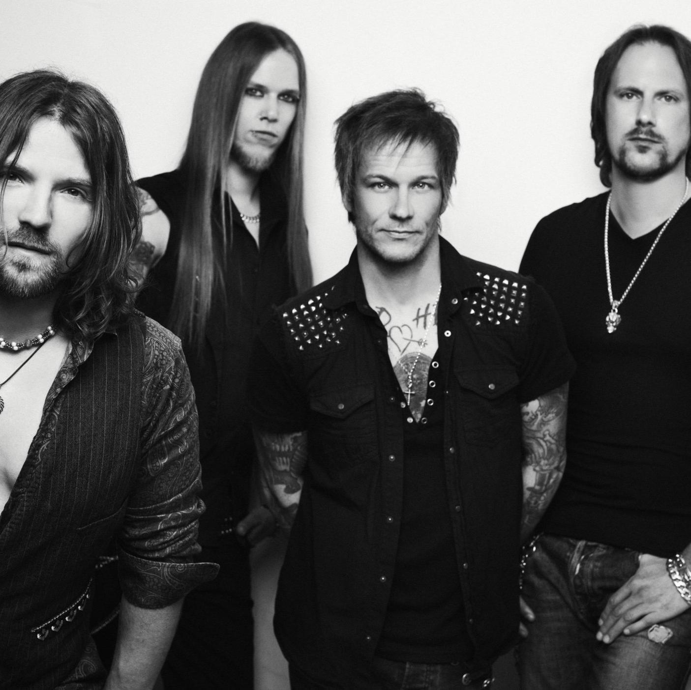 The New Roses