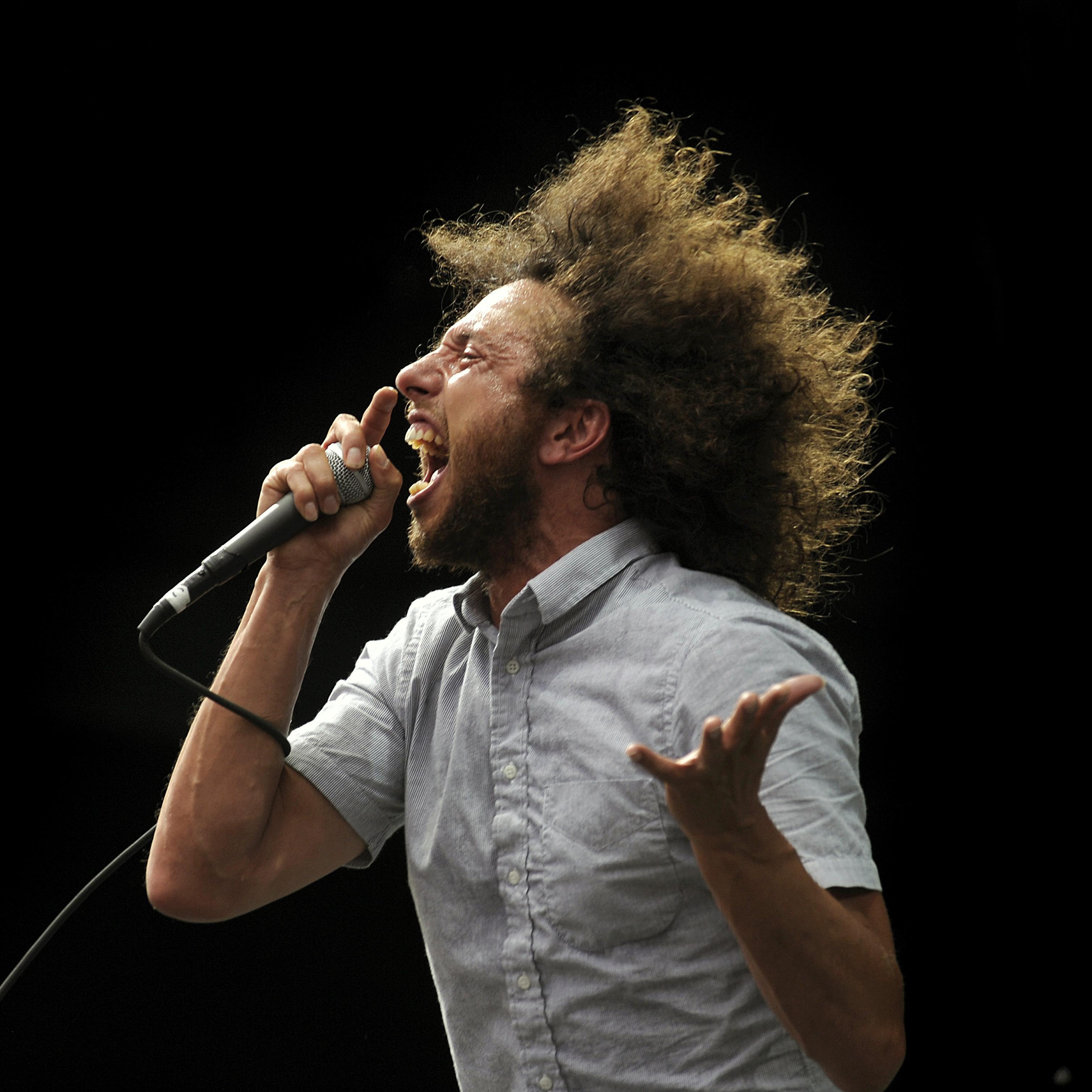 One Day as a Lion