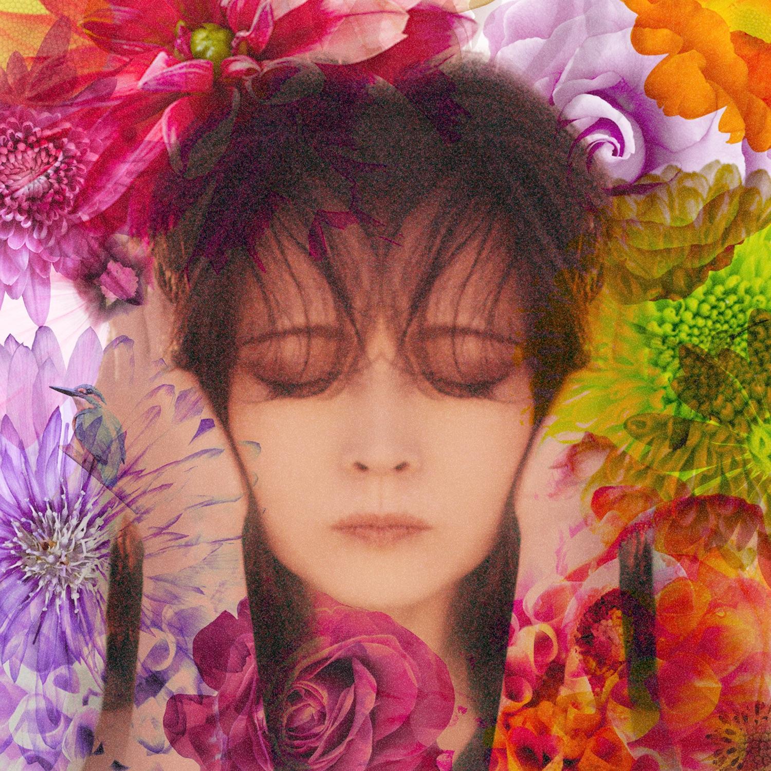 Lyrics | All Albums | 中森明菜