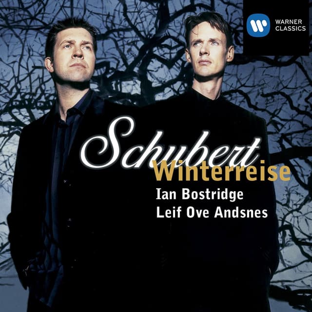 Album cover art for Schubert: Winterreise