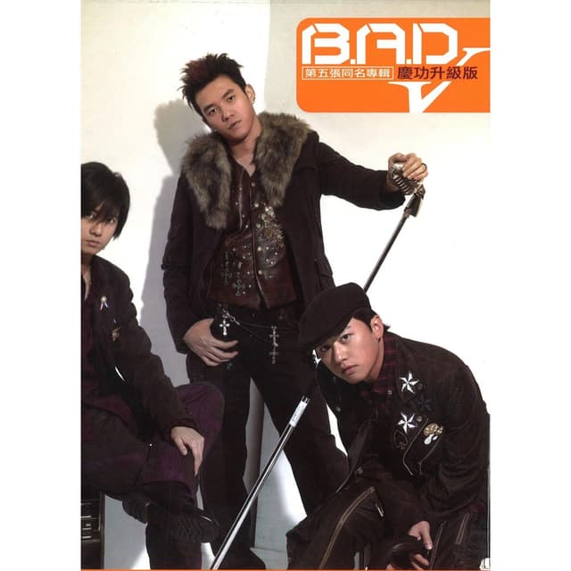Album cover art for B.a.d. Di Wu Zhang Tong Ming Zhuan Ji