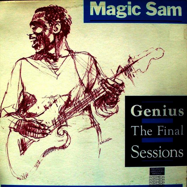 Album cover art for Genius - the Final Sessions