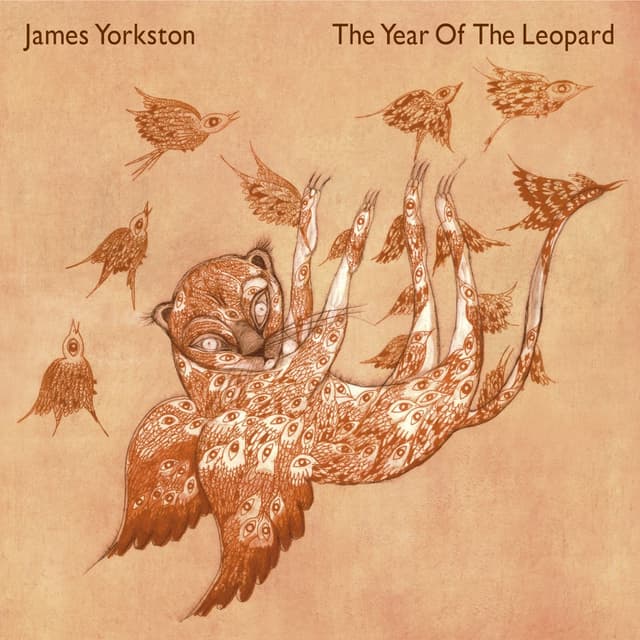 Album cover art for The Year of the Leopard