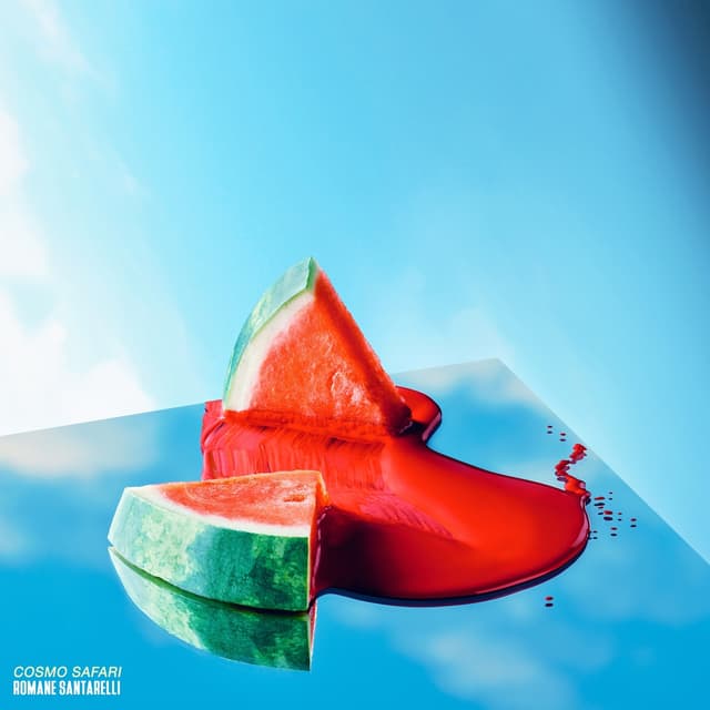 Album cover art for Cosmo Safari