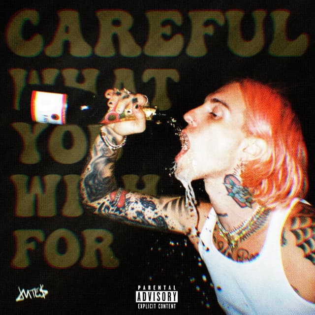 Album cover art for Careful What You Wish For