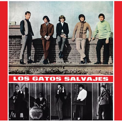Album cover art for Los Gatos Salvajes