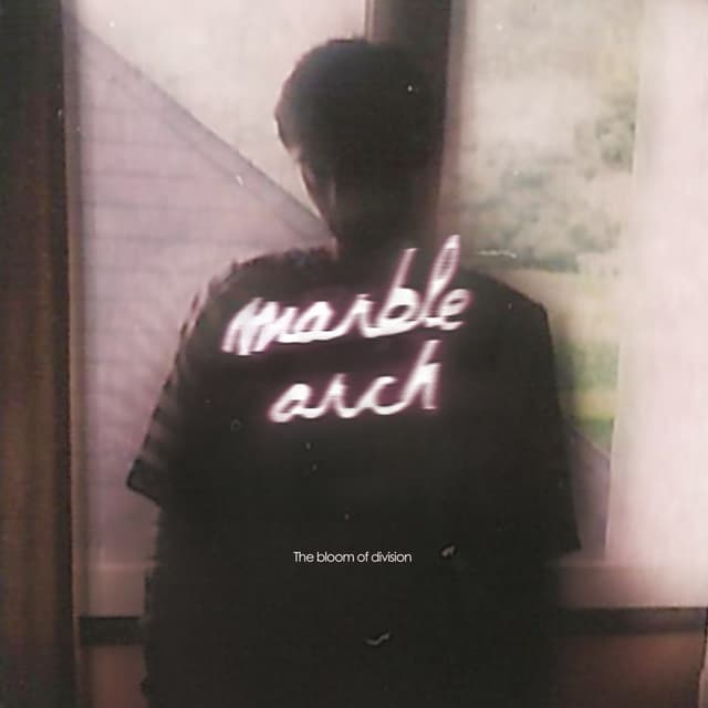 Album cover art for The Bloom of Division