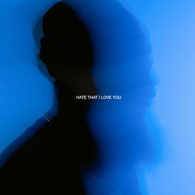 Album cover art for Hate That I Love You
