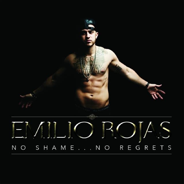 Album cover art for No Shame… No Regrets