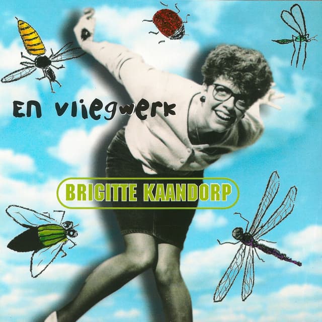 Album cover art for En Vliegwerk