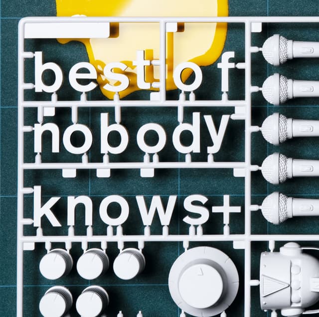 Album cover art for best of nobodyknows+