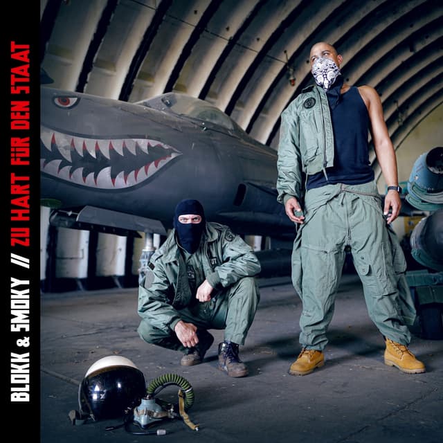 Album cover art for Zu hart für den Staat