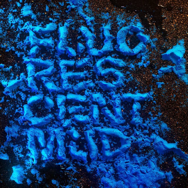 Album cover art for Fluorescent Mud