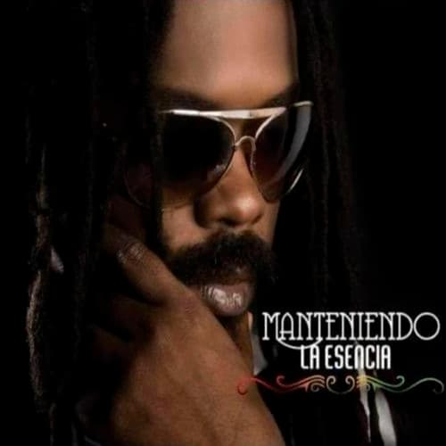 Album cover art for Manteniendo la Esencia
