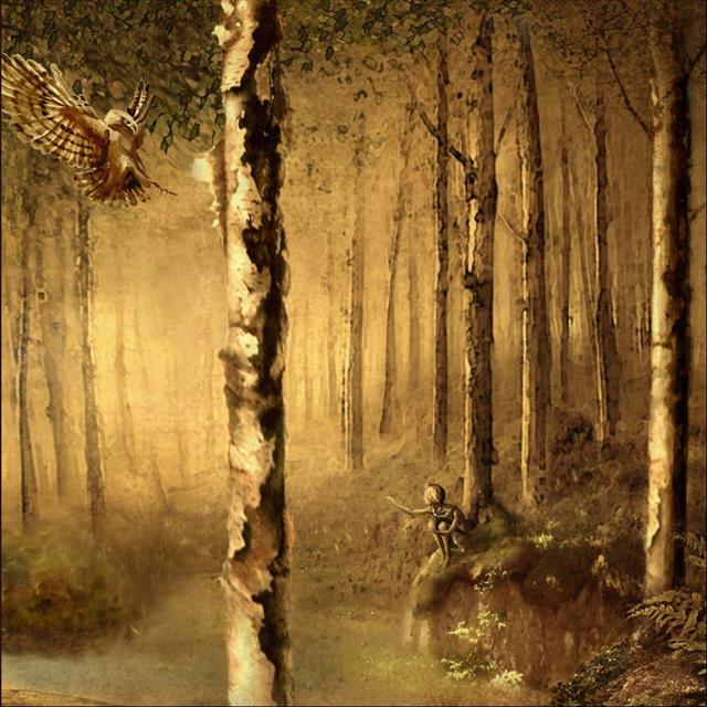 Album cover art for A Stone, a Leaf, an Unfound Door