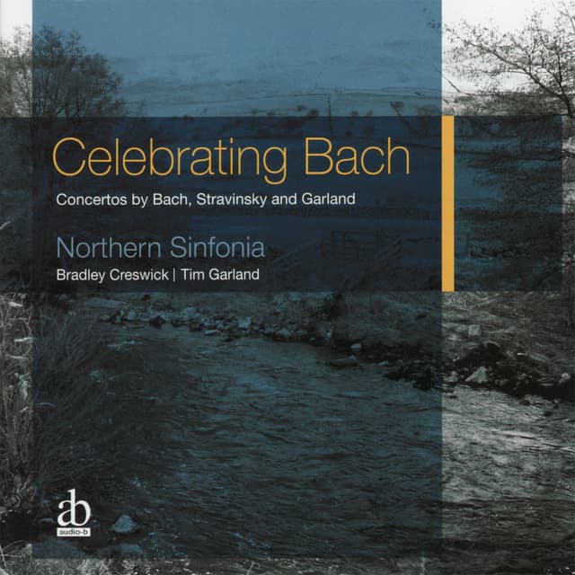 Album cover art for Celebrating Bach