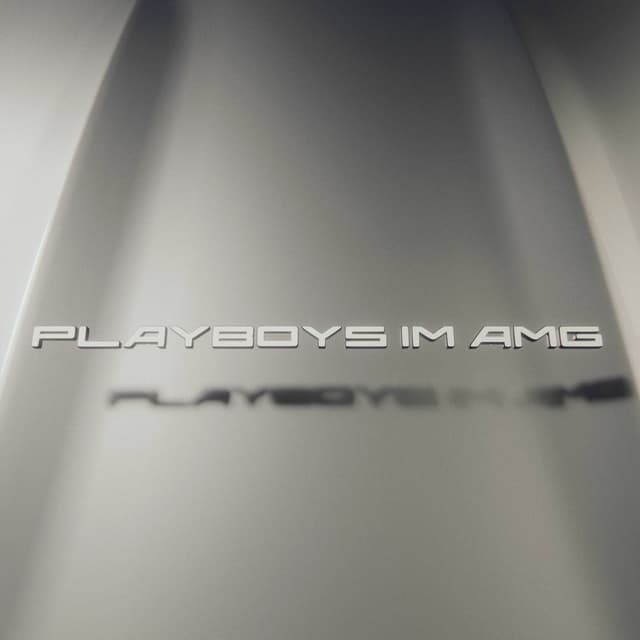 Album cover art for Playboys im AMG