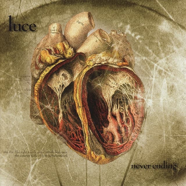 Album cover art for Never Ending