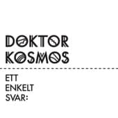 Album cover art for Ett Enkelt Svar