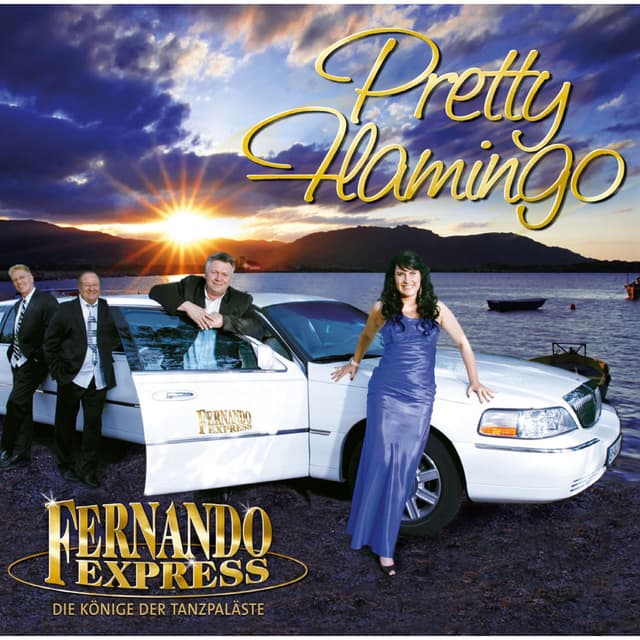 Album cover art for Pretty Flamingo