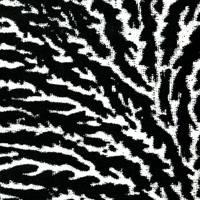 Album cover art for Cover the Windows and the Walls