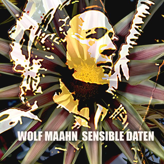 Album cover art for Sensible Daten