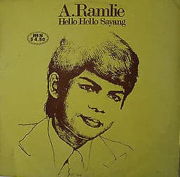 Album cover art for Hello Hello Sayang