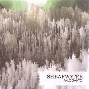 Album cover art for Palo Santo