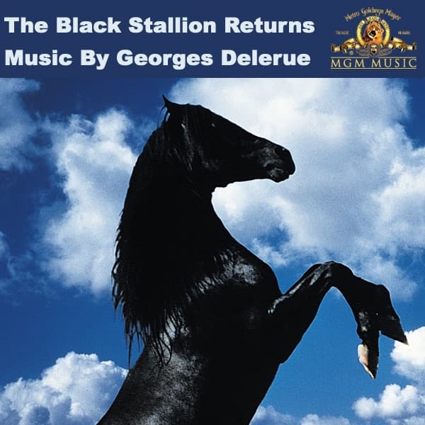 Album cover art for The Black Stallion Returns