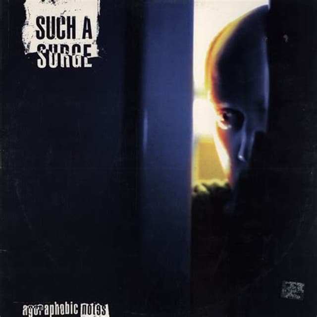 Album cover art for Agoraphobic Notes