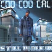 Album cover art for STILL WALKIN