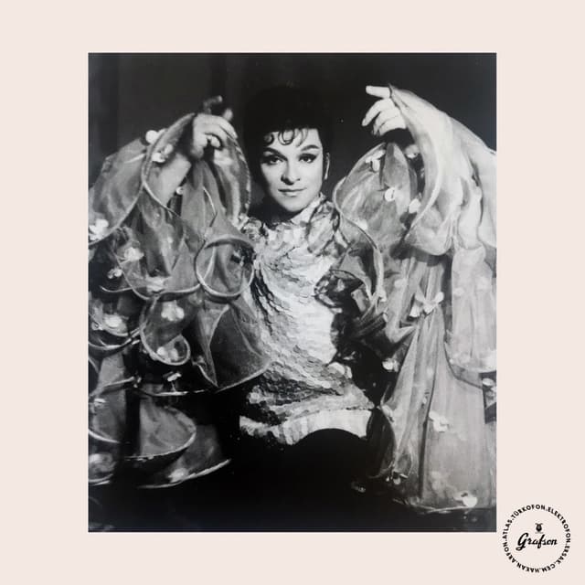 Album cover art for Zeki Müren Taş Plaklar Vol. 6