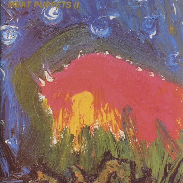 Album cover art for Meat Puppets II