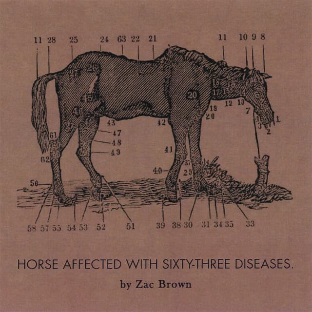Album cover art for Ride The Sick Horse