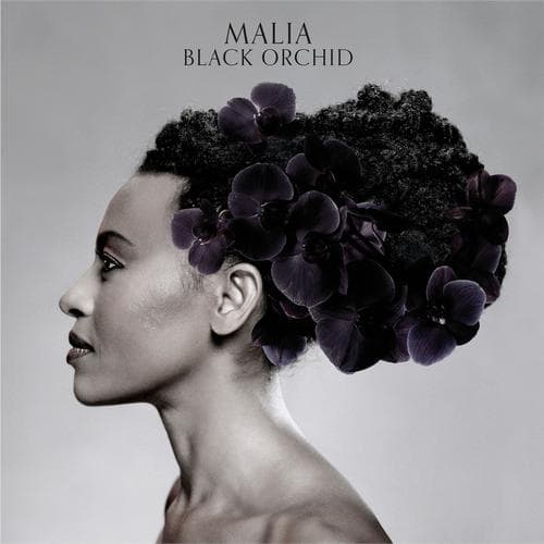 Album cover art for Black Orchid