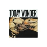 Album cover art for Today Wonder
