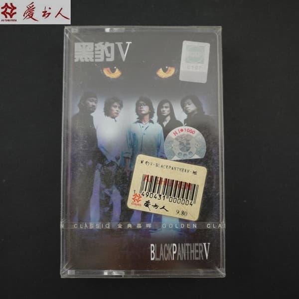 Album cover art for 黑豹V (Black Panther V)