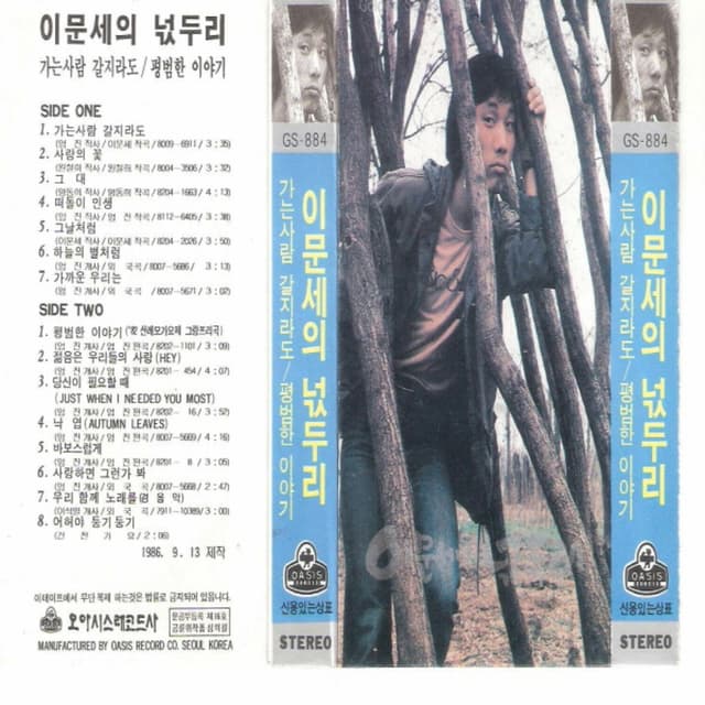 Album cover art for Grumble of Lee Moon Sae