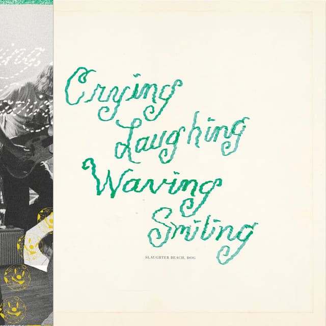 Album cover art for Crying, Laughing, Waving, Smiling