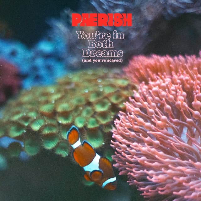 Album cover art for You’re in Both Dreams (And You’re Scared)