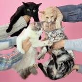 Album cover art for Nekoto Allergie