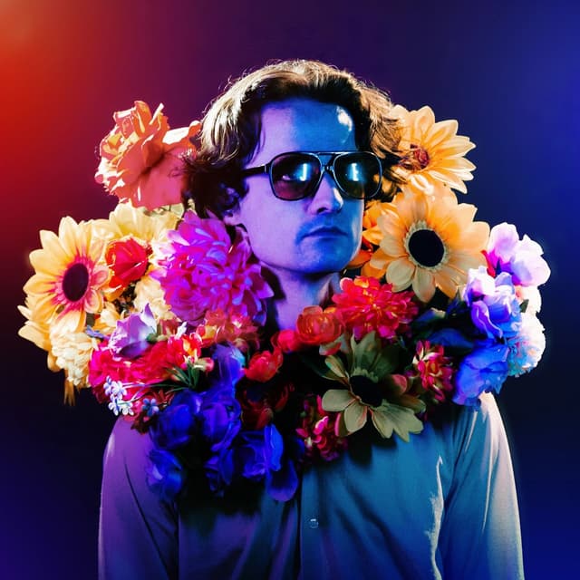 Album cover art for Technically, Probably More Of The Same, I Suppose, In Theory